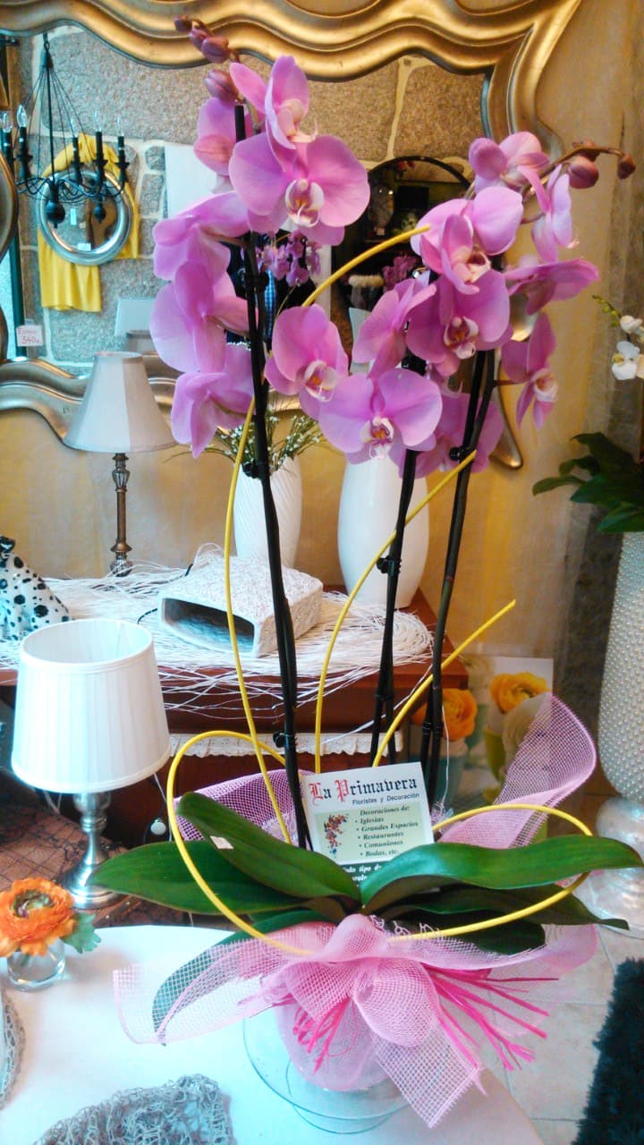 Floristería La Primavera en Ponteareas