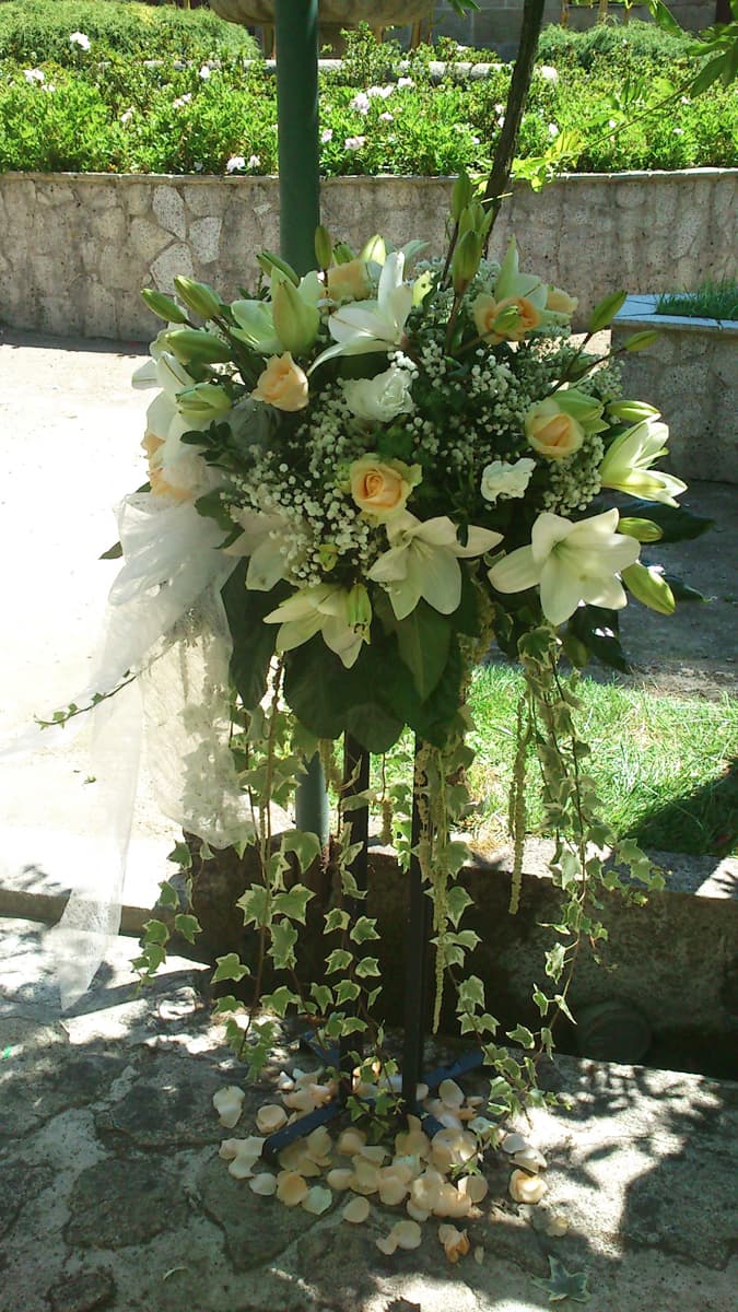 Floristería La Primavera en Ponteareas
